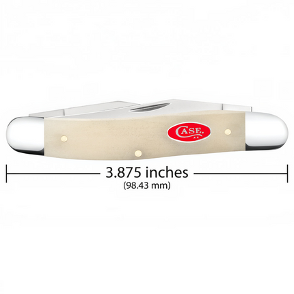 Razor Sharp AZ Case Smooth Natural Bone Muskrat folding knife with two stainless steel blades and red oval shield