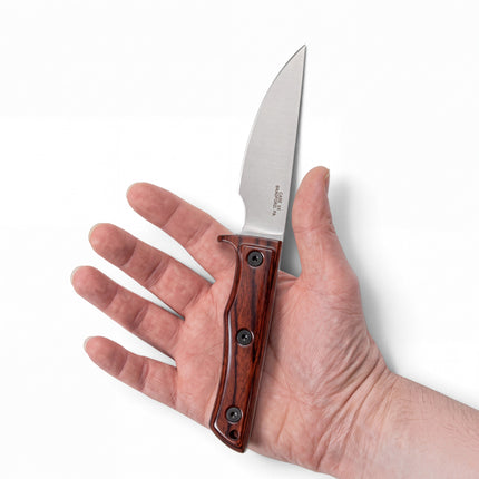 Razor Sharp AZ Case fixed blade hunter knife with satin 420HC stainless steel drop point and black rust hardwood handle