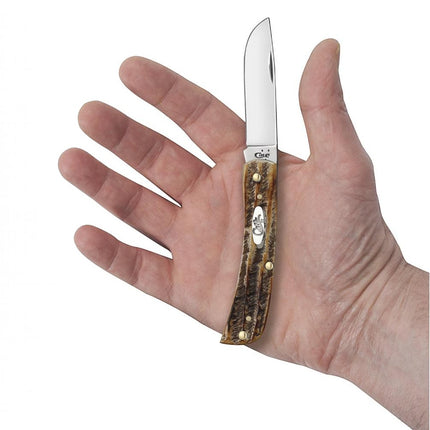 Case® | Amber Bone Sod Buster® Jr by caseknives