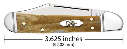 Case® | Smooth Antique Bone Mini CopperLock® Pocket Knife