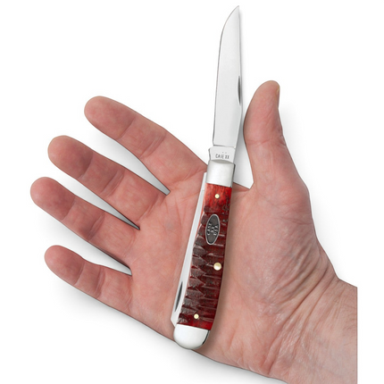 Razor Sharp AZ Case Trapper knife with red gator jigged bone handle and polished stainless steel blades held in hand