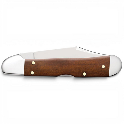 Razor Sharp AZ Case Mini CopperLock pocket knife with a smooth chestnut bone handle and mirror-polished steel blade.