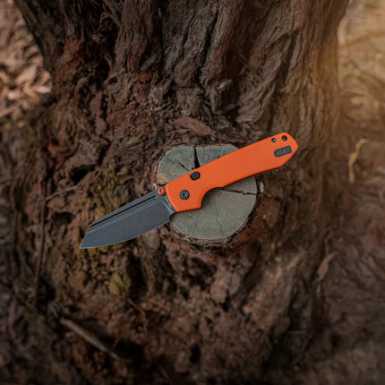 Raccoon® 2.0 - Top Liner Lock (3.25" 14C28N Blade & G10 Handle) - A2931 by Vosteed
