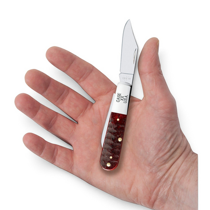Razor Sharp AZ Case Gator Jigged Old Red Bone Barlow pocket knife with mirror-polished stainless steel blade in hand