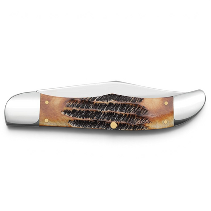Razor Sharp AZ Case 6.5 BoneStag folding hunter knife with a honey and amber jigged bone handle and polished bolsters