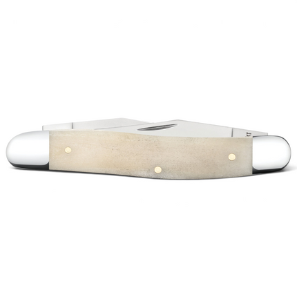 Razor Sharp AZ Case Muskrat folding knife with smooth natural bone handle and polished stainless steel bolsters