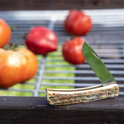 Case® | 6.5 BoneStag® Sod Buster® Jr Knife by caseknives