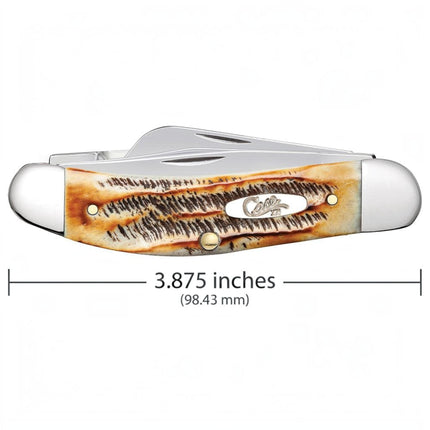 Case® | 6.5 BoneStag® Sowbelly Knife by Case®