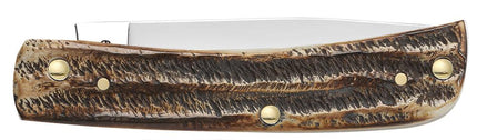Case® | Amber Bone Sod Buster® Jr by caseknives
