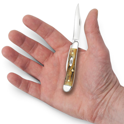Razor Sharp AZ Case Genuine Stag Peanut folding knife with mirror-polished stainless steel blade held in a palm