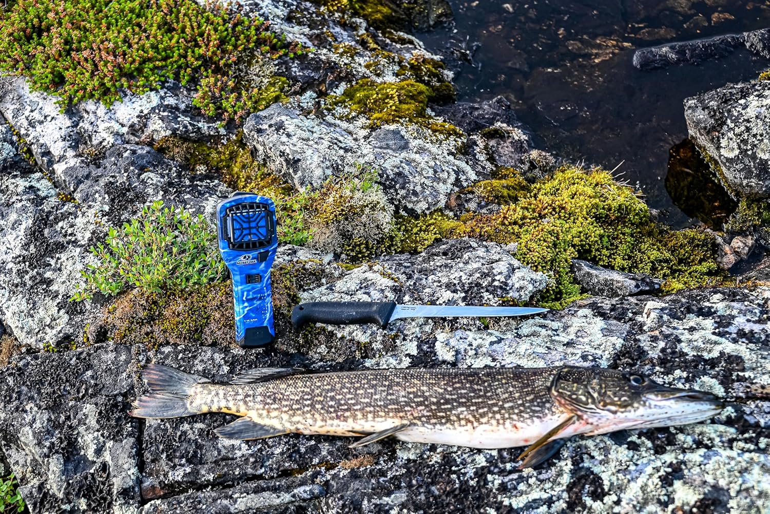 Cold Steel 8" Filet Knife | Durable German 4116 Stainless Steel Fixed Blade Knife with Ergonomic Kray-Ex Handle | Precision Filleting & Slicing for Professional Use | Commercial Series