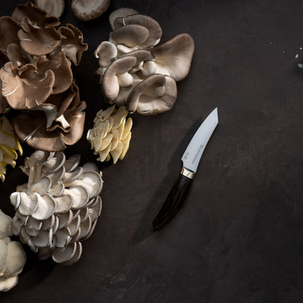 Kawashima Paring Knife - 3.5" by Messermeister