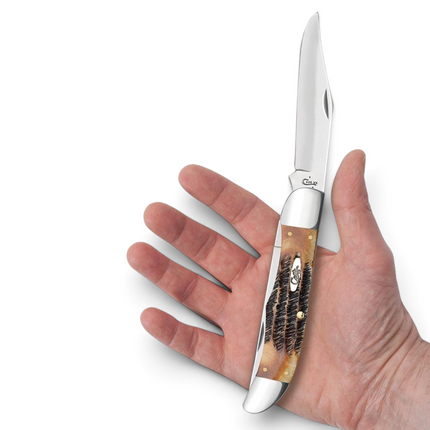 Razor Sharp AZ Case 6.5 BoneStag folding hunter knife with jigged bone handle and polished stainless steel blade