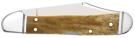 Case® | Smooth Antique Bone Mini CopperLock® Pocket Knife