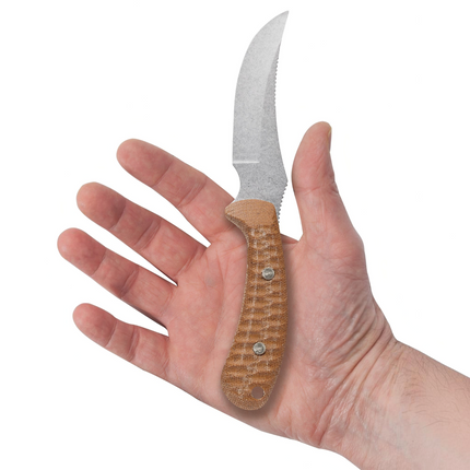 Case Ridgeback Hunter fixed blade knife with natural canvas laminate handle resting in an open palm to show its size