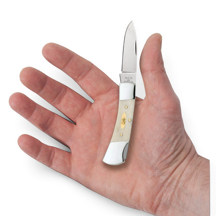 Razor Sharp AZ Case lockback knife with smooth natural bone handle and brass bomb shield held in a palm