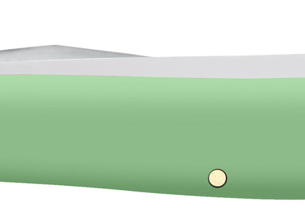 Case CA63831 - Smooth Mint Green Synthetic Mini Trapper