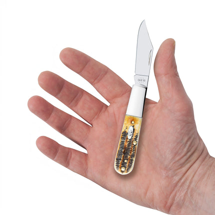 Case® | 6.5 BoneStag® Barlow Knife by Case®