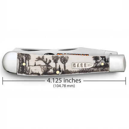 Razor Sharp AZ Case Sportsman Series Elk Trapper pocket knife with smooth natural bone handle and elk scene engraving