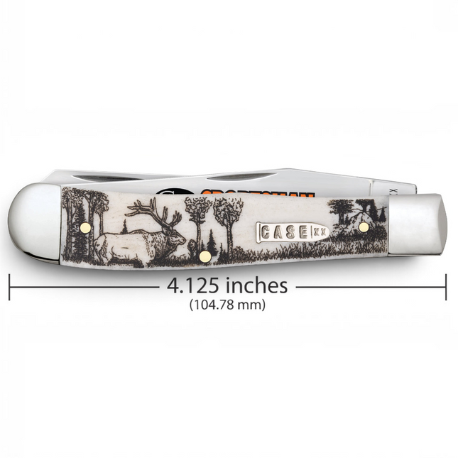 Razor Sharp AZ Case Sportsman Series Elk Trapper pocket knife with smooth natural bone handle and elk scene engraving