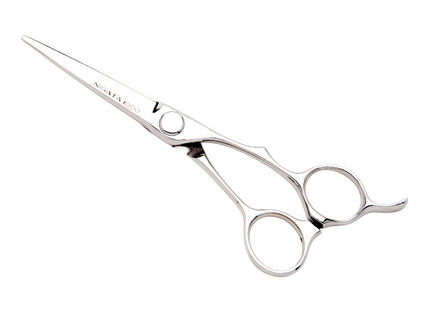 Niigata 1000 by Scissormall