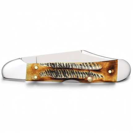 Razor Sharp AZ Case Mini CopperLock knife with honey and amber jigged BoneStag handle and polished stainless steel blade