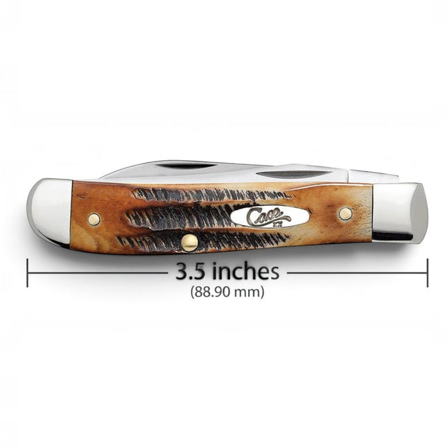 Razor Sharp AZ Case 6.5 BoneStag Mini Trapper folding knife with honey and amber jigged bone handle, 3.5 inches closed.