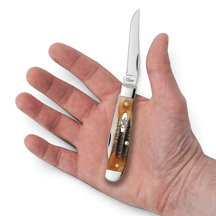 Razor Sharp AZ Case 6.5 BoneStag Mini Trapper folding knife with honey and amber jigged bone handle held in a hand