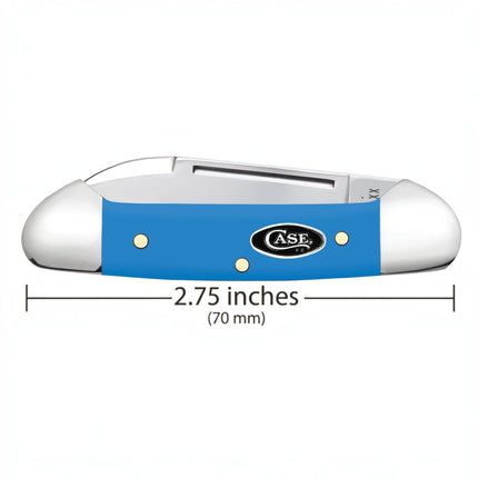 Razor Sharp AZ Case Baby Butterbean folding knife with a smooth light blue synthetic handle and black oval shield