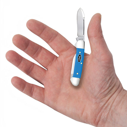Razor Sharp AZ Case Baby Butterbean pocket knife with light blue synthetic handle and mirror-polished steel blades.