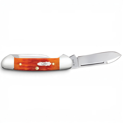 Razor Sharp AZ Case Baby Butterbean pocket knife with orange and red jigged bone handle and polished steel blades