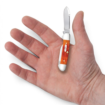 Razor Sharp AZ Case Baby Butterbean folding knife with orange and red jigged bone handle held in an open palm.