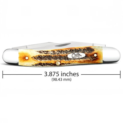 Razor Sharp AZ Case 6.5 BoneStag Muskrat pocket knife with honey and amber jigged bone handle and mirror-polished blades.