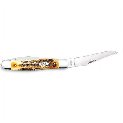 Razor Sharp AZ Case 6.5 BoneStag Muskrat folding knife with honey and amber jigged bone handle and stainless steel blade