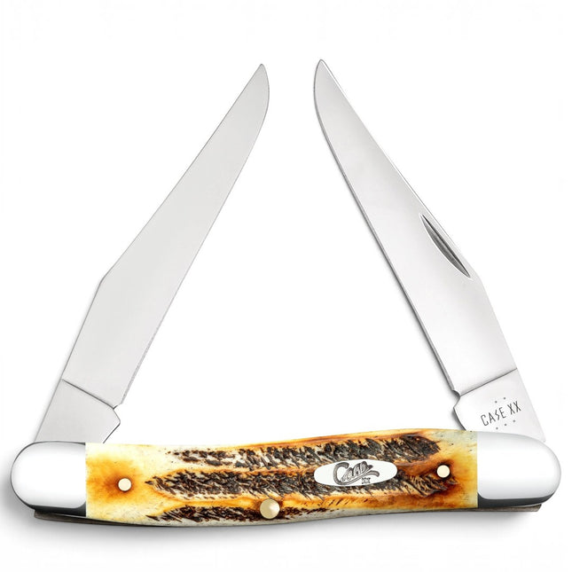 Razor Sharp AZ Case 6.5 BoneStag Muskrat pocket knife with two mirror-polished stainless steel clip blades