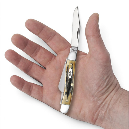 Razor Sharp AZ Case 6.5 BoneStag Medium Stockman pocket knife with jigged honey and amber bone handle held in a hand