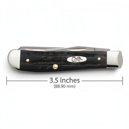 Razor Sharp AZ Case Mini Trapper pocket knife with a dark jigged buffalo horn handle and nickel-silver bolsters.