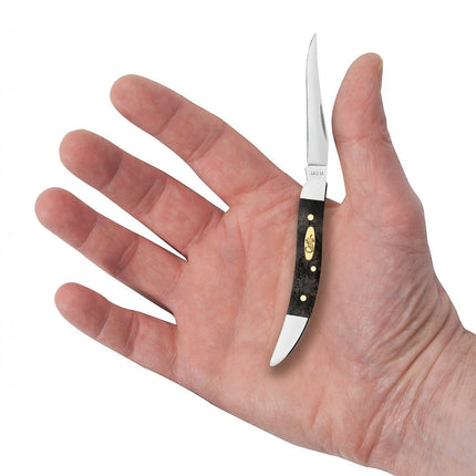 Razor Sharp AZ Case Texas Toothpick pocket knife with black curly oak handle and mirror-polished steel blade in hand