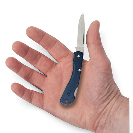Razor Sharp AZ Case Mini Blackhorn folding pocket knife with a blue synthetic handle held in a person's palm
