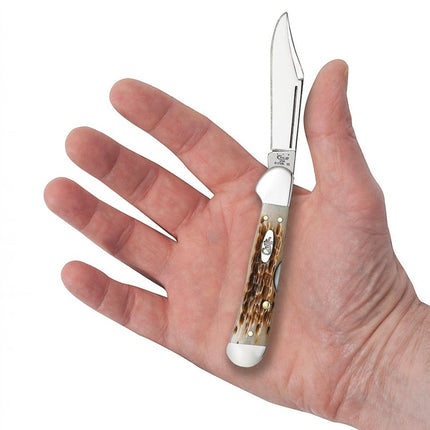Razor Sharp AZ Case Mini CopperLock knife with a peach seed jigged amber bone handle held in an open palm.