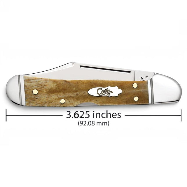 Razor Sharp AZ Case Smooth Antique Bone Mini CopperLock pocket knife with a mirror-polished stainless steel blade.