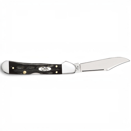 Razor Sharp AZ Case Mini CopperLock knife with a jigged buffalo horn handle and mirror-polished stainless steel blade