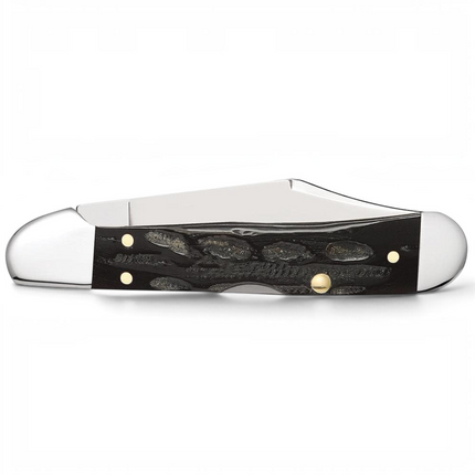 Razor Sharp AZ Case Mini CopperLock pocket knife with a jigged buffalo horn handle and mirror-polished steel blade.