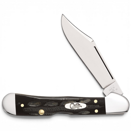 Razor Sharp AZ Case Mini CopperLock pocket knife with a jigged buffalo horn handle and mirror-polished clip blade.