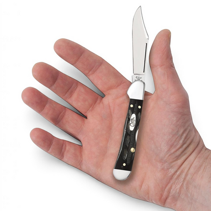 Razor Sharp AZ Case Mini CopperLock knife with a jigged buffalo horn handle and a mirror-polished stainless blade.