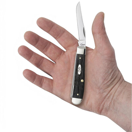 Razor Sharp AZ Case Mini Trapper knife with jigged buffalo horn handle and polished stainless steel clip blade