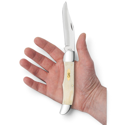 Razor Sharp AZ Case folding hunter knife with smooth natural bone handle and brass bomb shield held in a hand