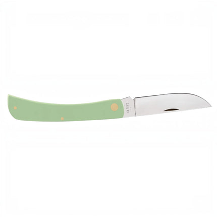 Razor Sharp AZ Case Sod Buster folding knife with a mint green synthetic handle and mirror-polished skinner blade.