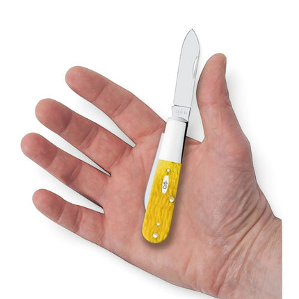 Razor Sharp AZ Case Platts Jig Yellow Bone Barlow pocket knife with two stainless steel blades held in a hand